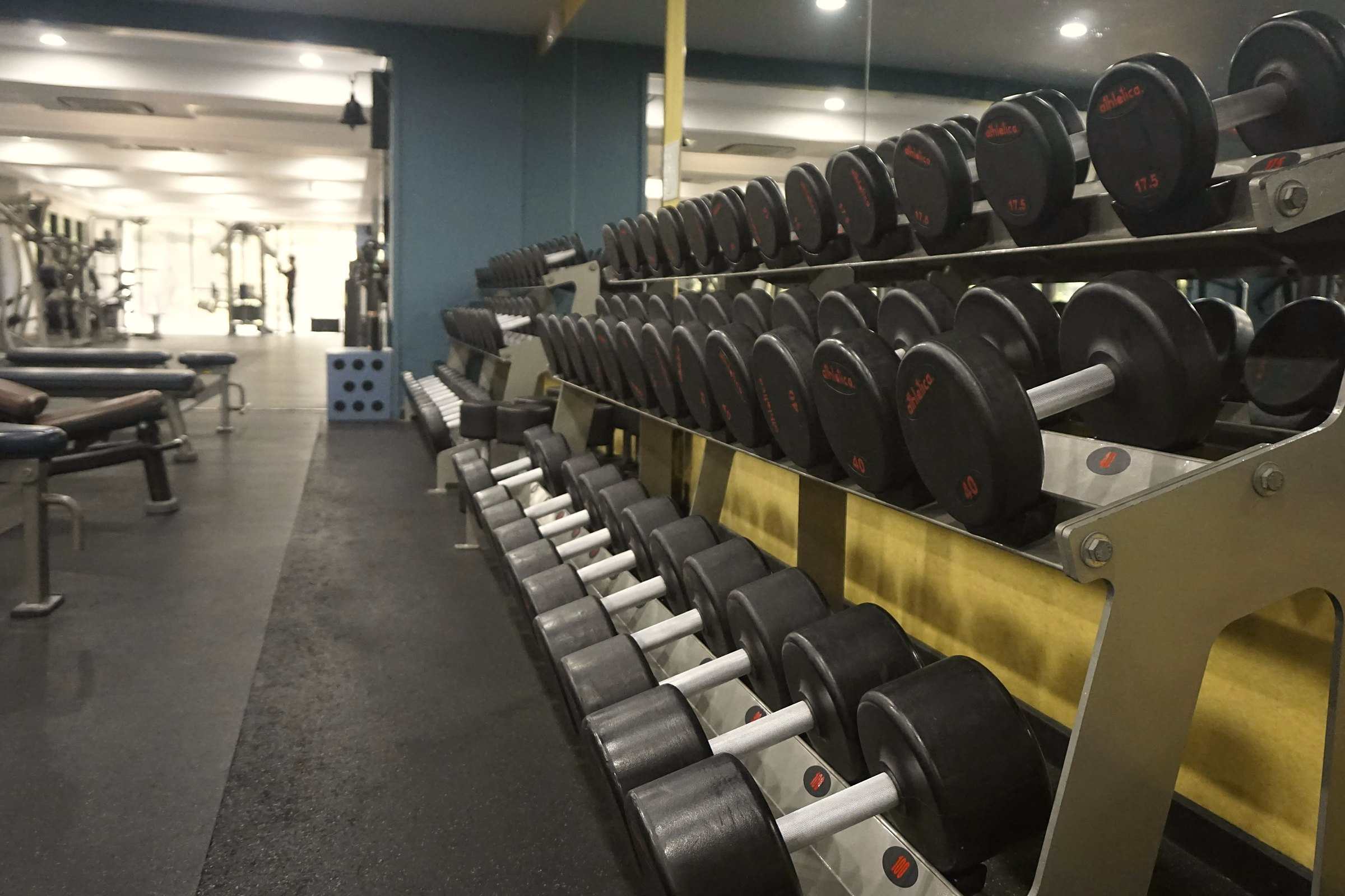 A long rack of heavy dumbbells in a gym