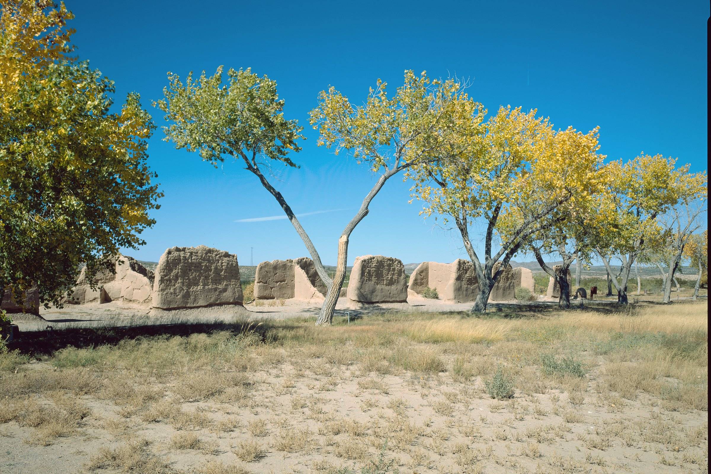 Adobe walls of the old hospital at Fort Selden, Radium Springs, under cottonwoods turning yellow