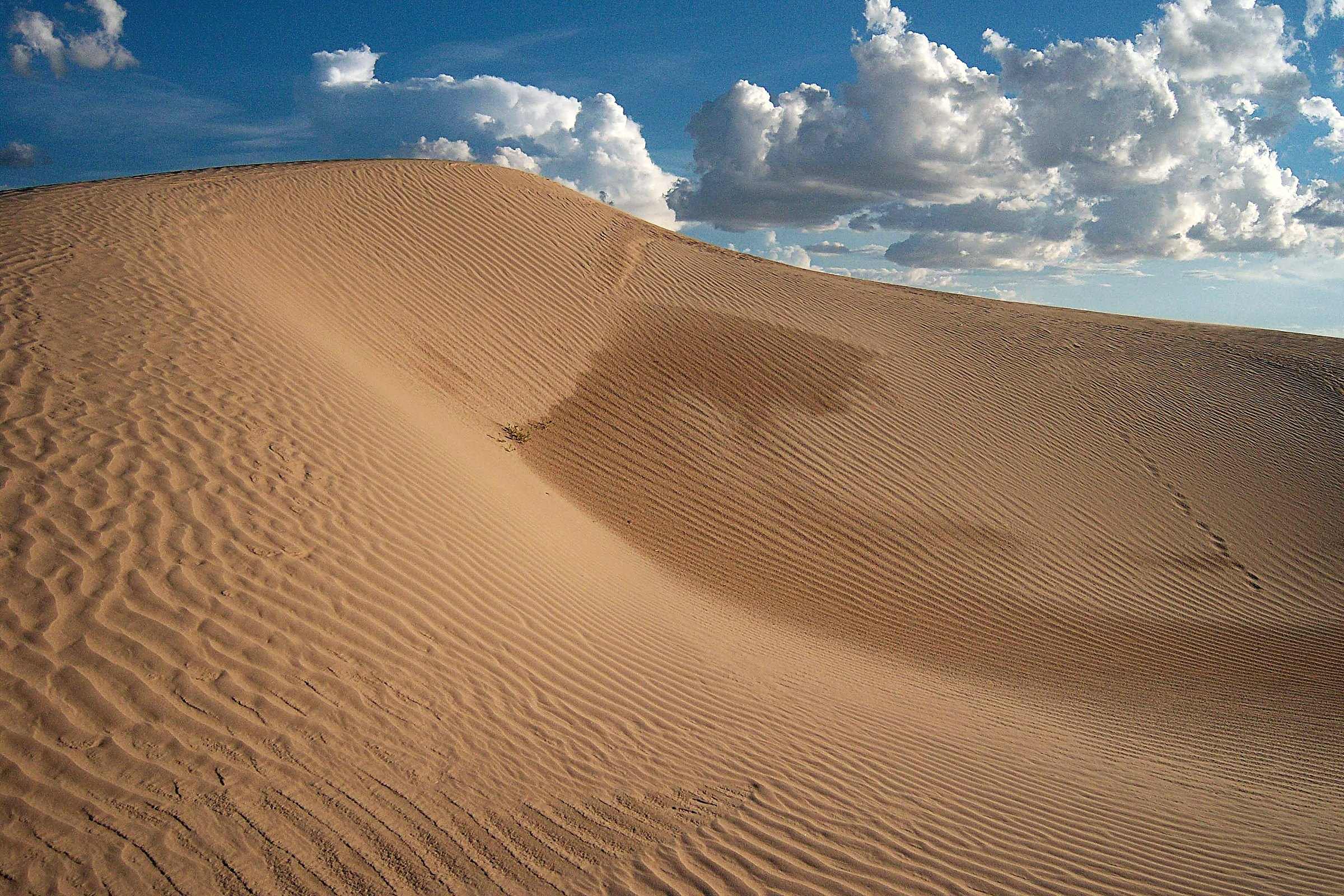 Wind-rippled sand dunes under white clouds at Samalayuca, south of Ciudad Juárez, Chihuahua